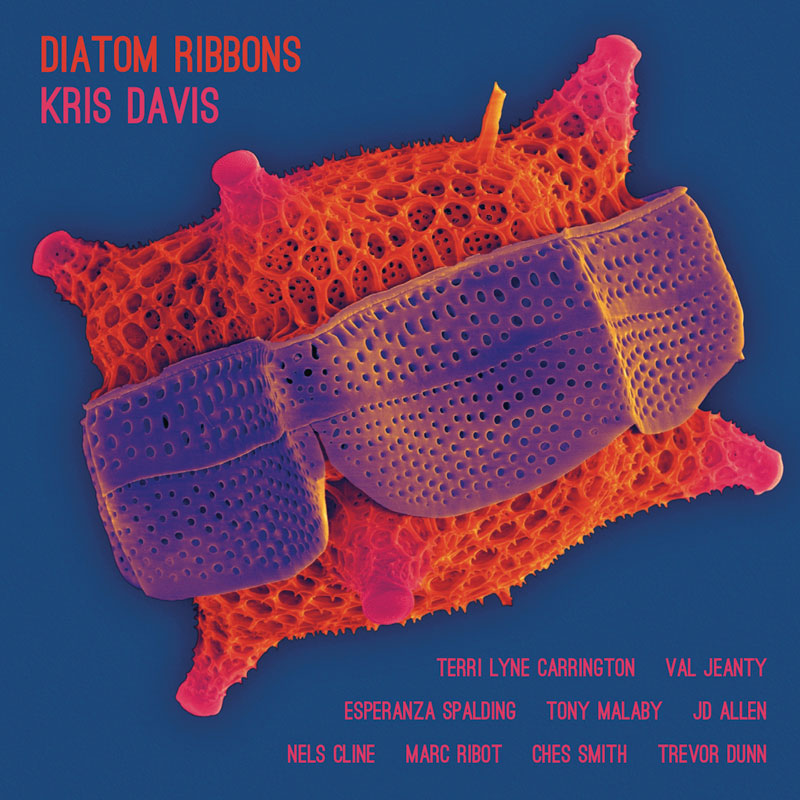 Diatom Ribbons - Kris Davis